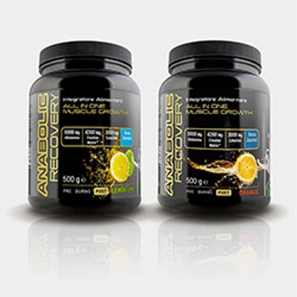Anabolic Recovery 500Gr Net
